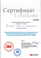 Сертификат «Прямая реставрация зубов. Основные составляющие эстетики. Методика для воспроизведения предсказуемой эстетики оттенками двух опаковостей материала Filtek™ Ultimate», 2013 год